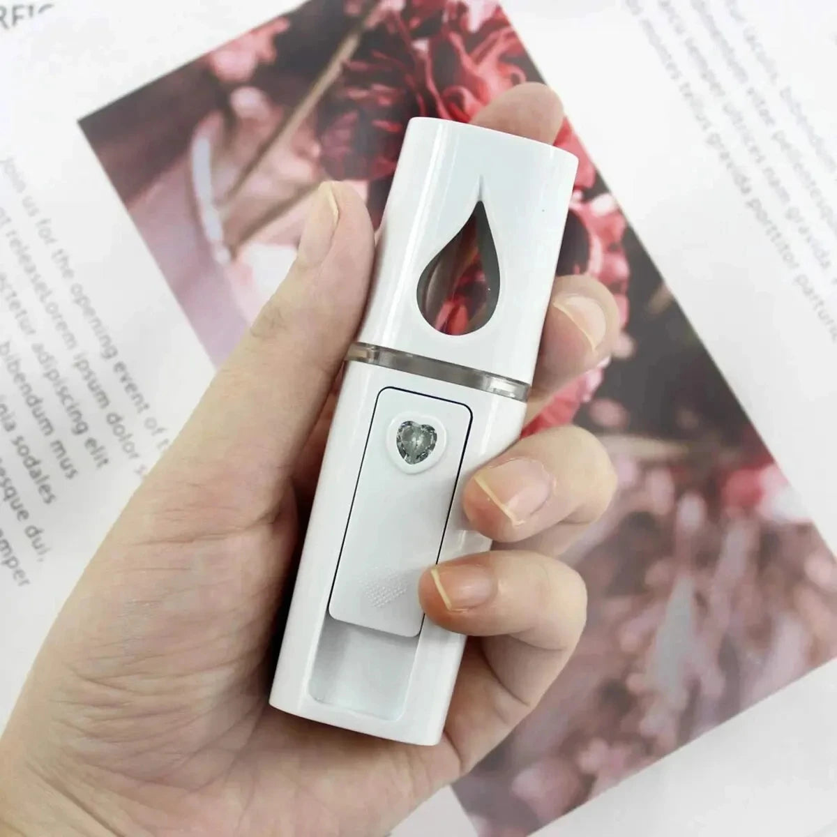 Portable Facial Sprayer