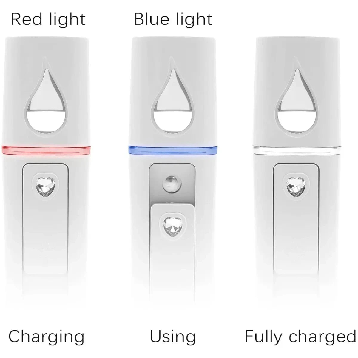 Portable Facial Sprayer